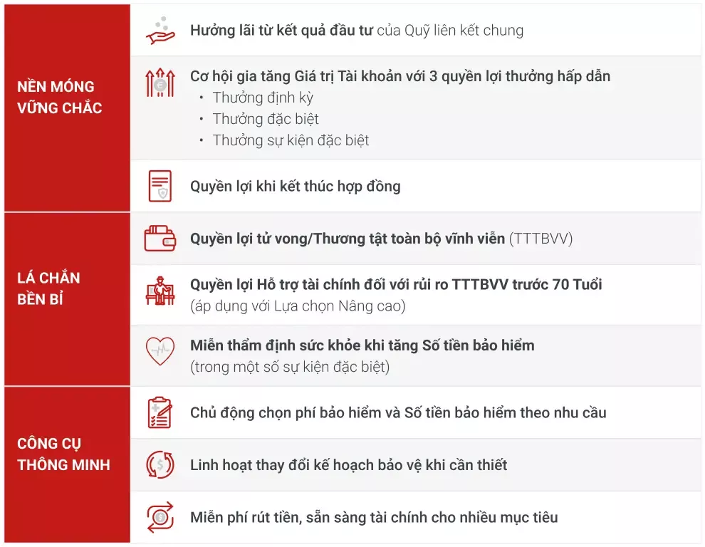 Tóm tắt quyền lợi